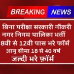 बिना परीक्षा सरकारी नौकरी | नगर निगम पालिका भर्ती 2024 | 8वीं से 12वीं पास भर फॉर्म |